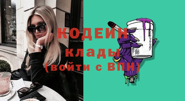 круглые Пересвет