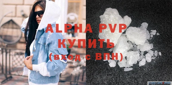 спиды Пионерский