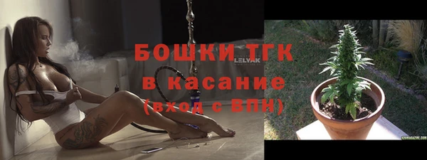 круглые Пересвет