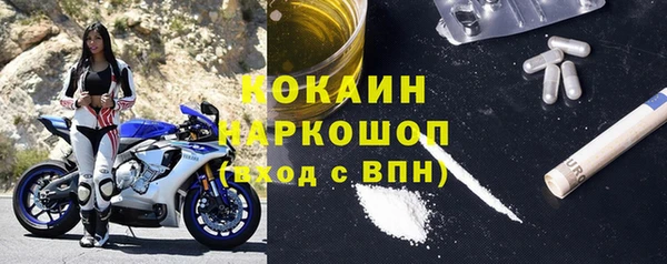 круглые Пересвет
