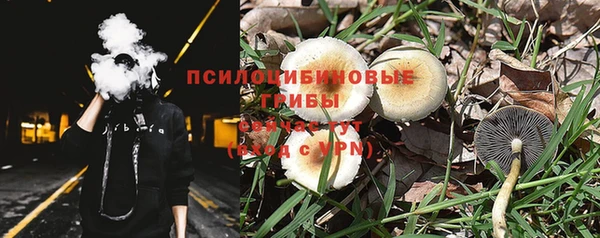 винт Пестово