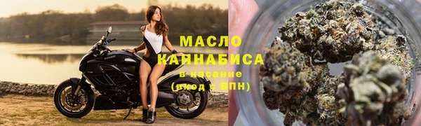 круглые Пересвет