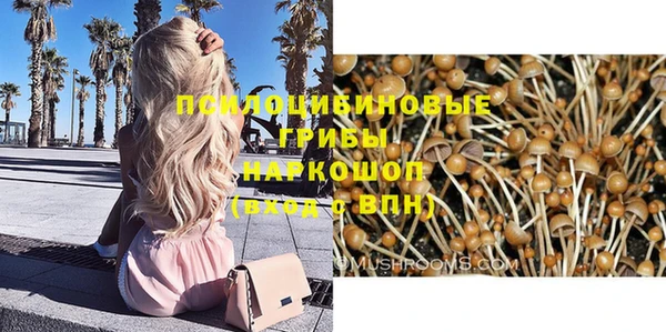 винт Пестово