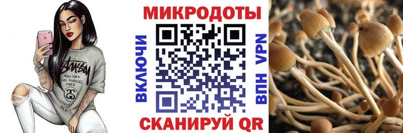 Галлюциногенные грибы Cubensis  купить  сайты  Рыльск 